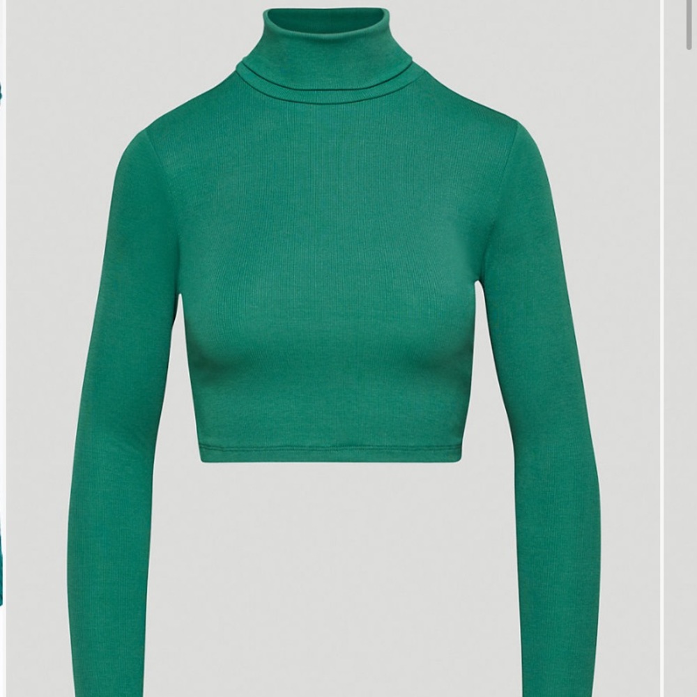 Dark green aritzia Sunday best turtle neck